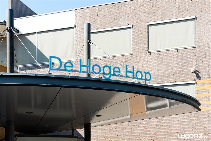 De Hoge Hop_Hoorn_04