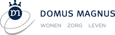 Domus Magnus, Haarlem